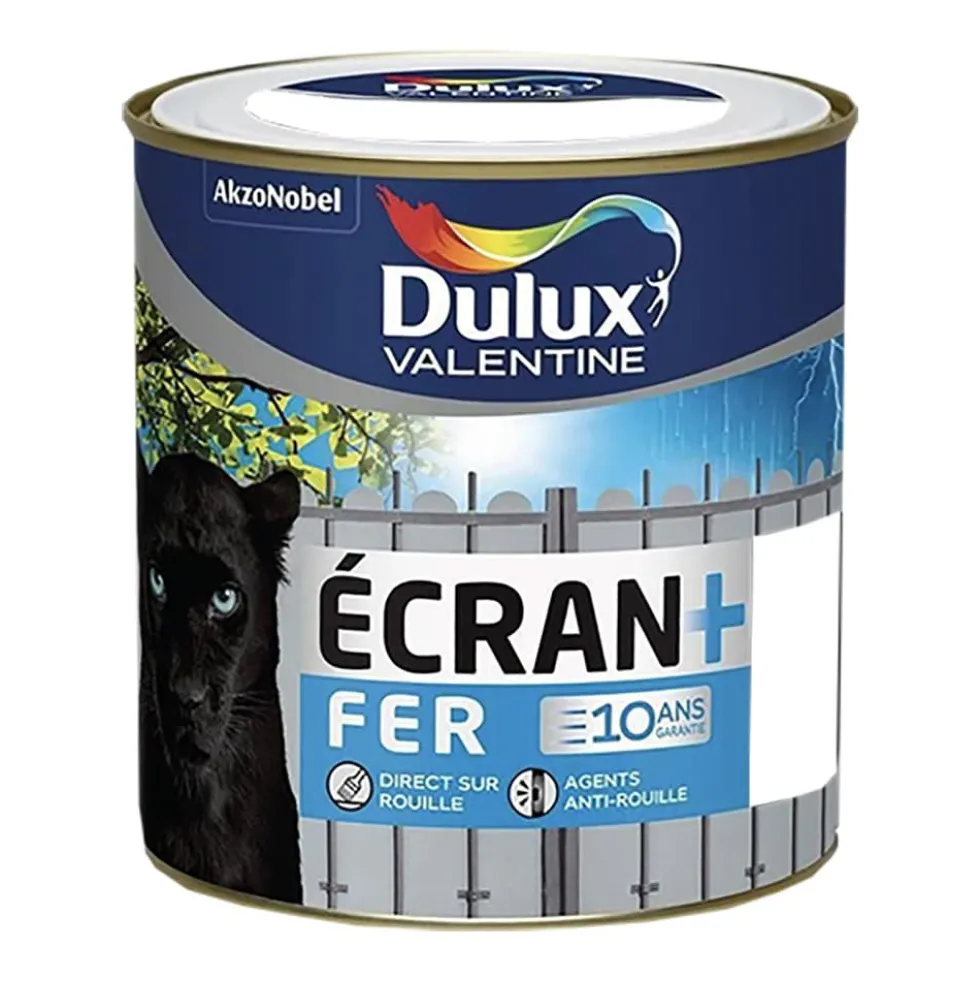 Peinture fer DULUX VALENTINE Ecran+ brillant Blanc
