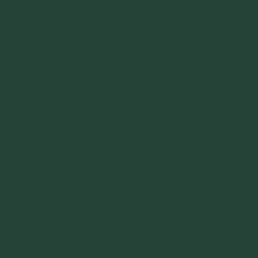 Peinture fer DULUX VALENTINE Ecran+ brillant Vert Basque