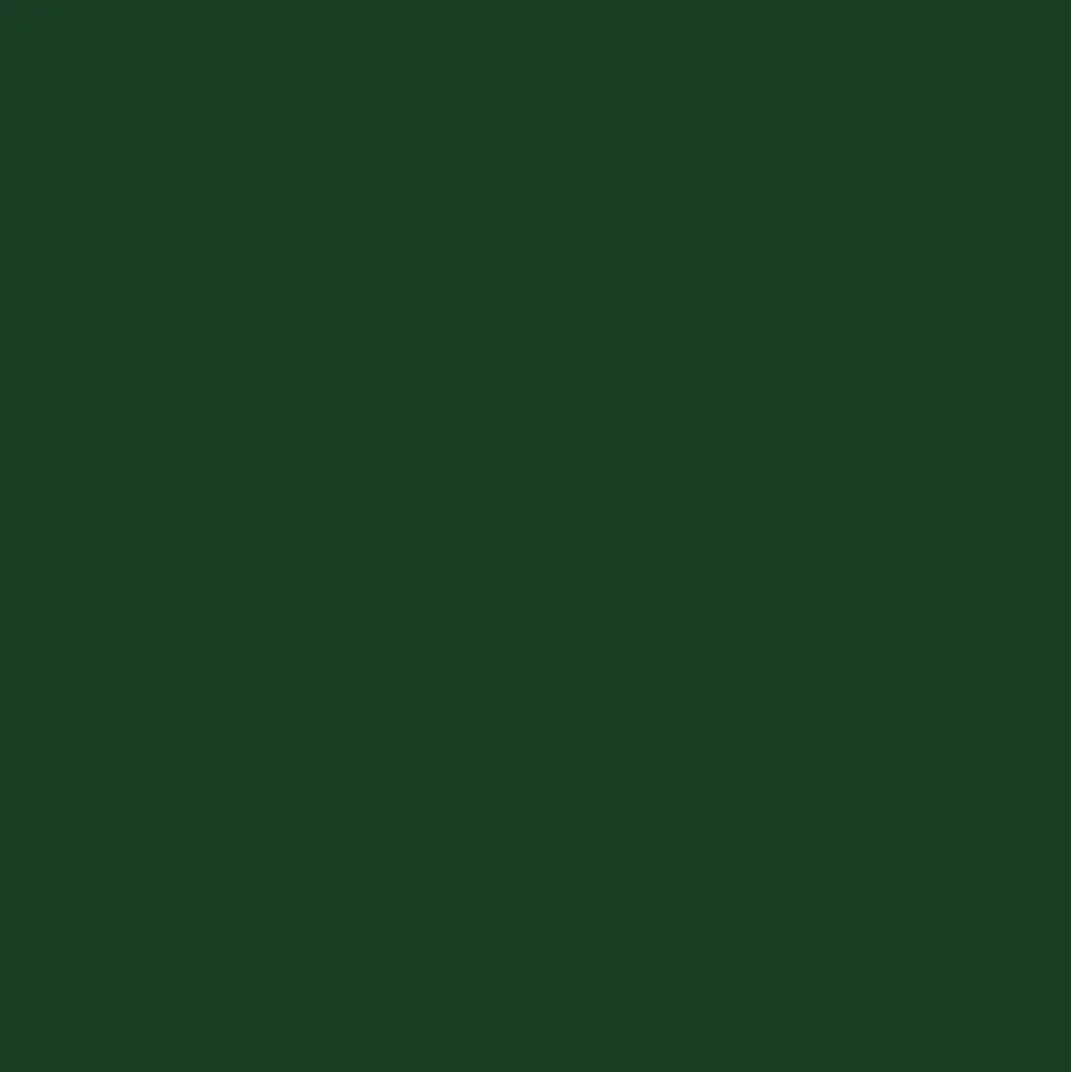 Peinture Fer Hammerite Direct sur Rouille Brillant Vert buisson