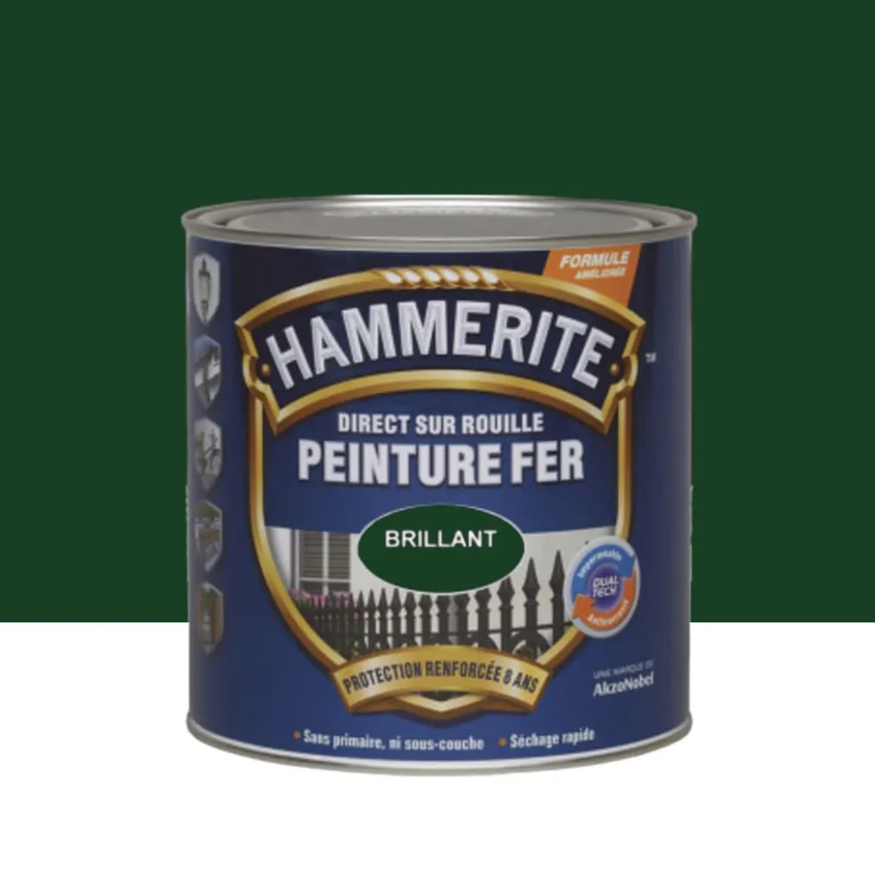 Peinture Fer Hammerite Direct sur Rouille Brillant Vert buisson