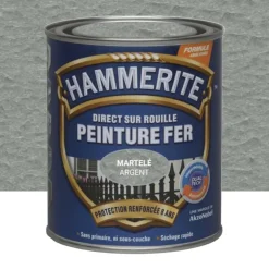 Peinture Fer Hammerite Direct sur Rouille Gris argent martelé
