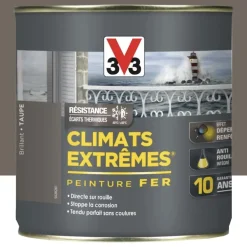 Peinture Fer V33 Climats Extrêmes Taupe Brillant