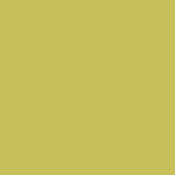 Peinture Glycéro Multi-matériaux V33 Direct Protect Lumière d'été