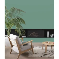 Peinture intérieure V33 Colorissim Satin Cactus