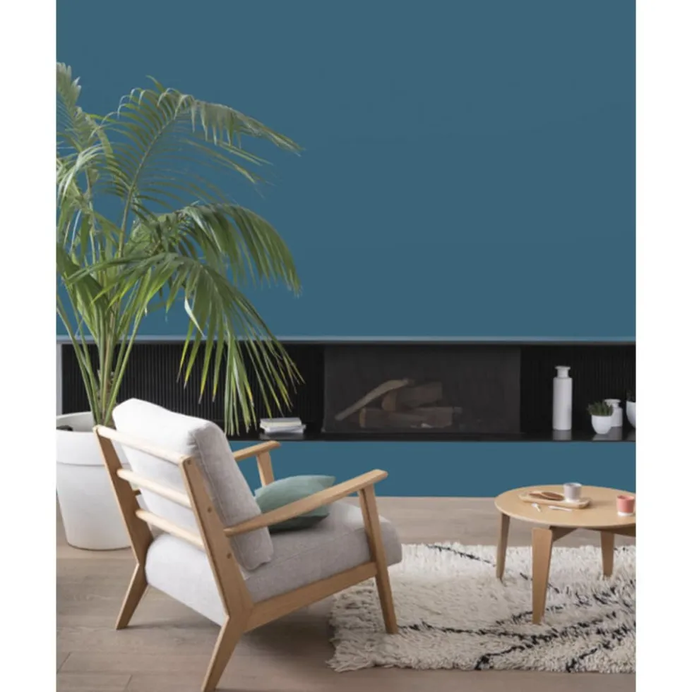 Peinture intérieure V33 Colorissim Satin Canard