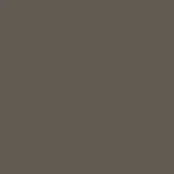 Peinture intérieure V33 Colorissim Satin Brun grisé