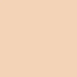 Peinture intérieure V33 Colorissim Satin Make up