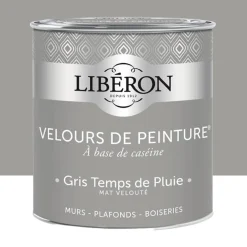 Peinture LIBÉRON Velours de Peinture Gris Temps de Pluie