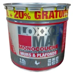 Peinture LOXXO Blanc Mat Monocouche 12L