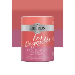 Peinture meuble LIBÉRON