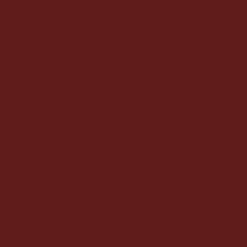 Peinture Multi-Matériaux Extérieure SYNTILOR Rouge Basque