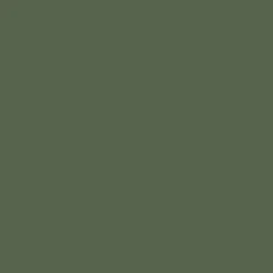 Peinture multi-supports Dulux Valentine Crème de Couleur Mat velouté Vert tropical