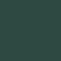 Peinture multi-supports extérieur ASTRAL Vert Pays Basque