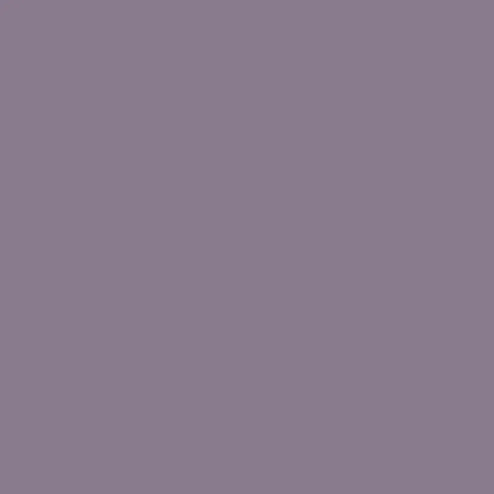 Peinture multi-supports NUANCE MonoCrème Mat AnéMauve