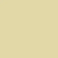 Peinture multi-supports NUANCE MonoCrème Satin Jaune attend