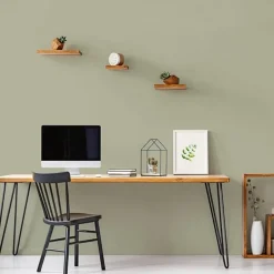 Peinture Murs, Boiseries, Radiateurs RIPOLIN Velours Vert gaspesie
