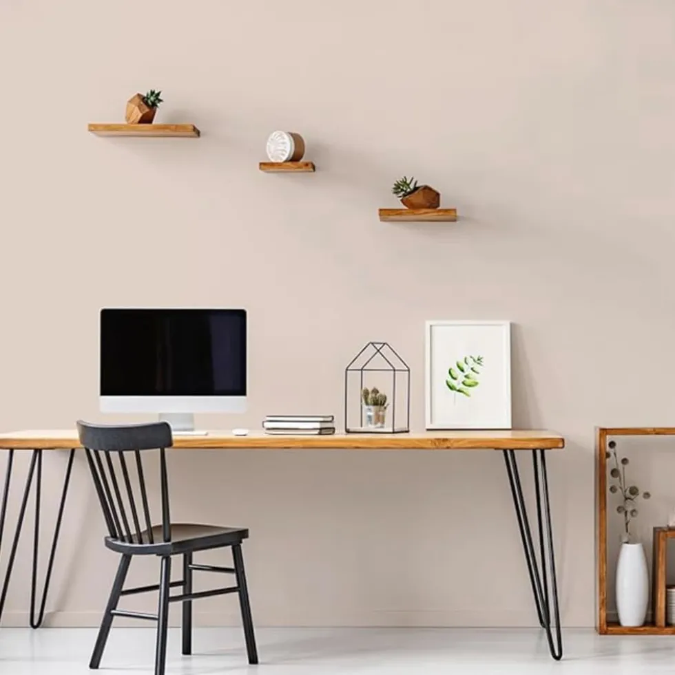 Peinture Murs, Boiseries, Radiateurs RIPOLIN Velours Café au lait