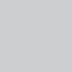 Peinture Murs, Boiseries, Radiateurs RIPOLIN Velours Gris souris