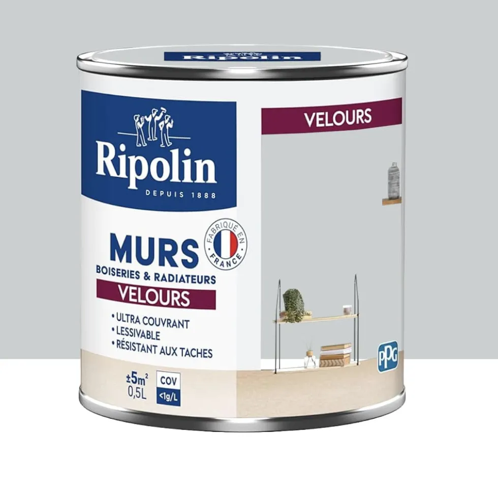 Peinture Murs, Boiseries, Radiateurs RIPOLIN Velours Gris souris