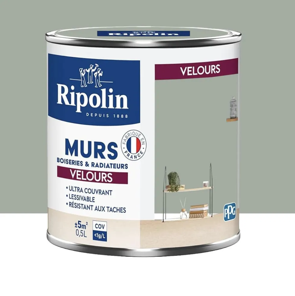 Peinture Murs, Boiseries, Radiateurs RIPOLIN Velours Vert ficus