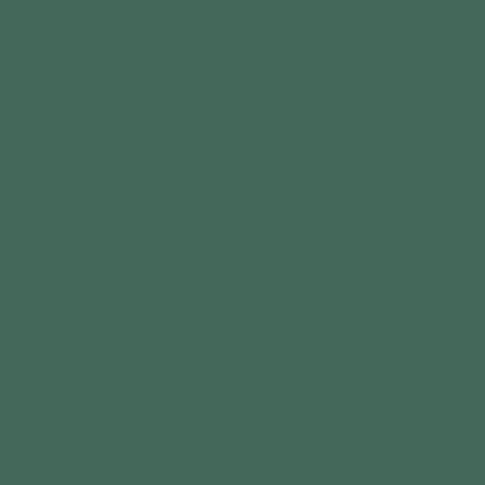 Peinture Murs, Boiseries, Radiateurs RIPOLIN OPur Satin velouté Vert zapfino NP