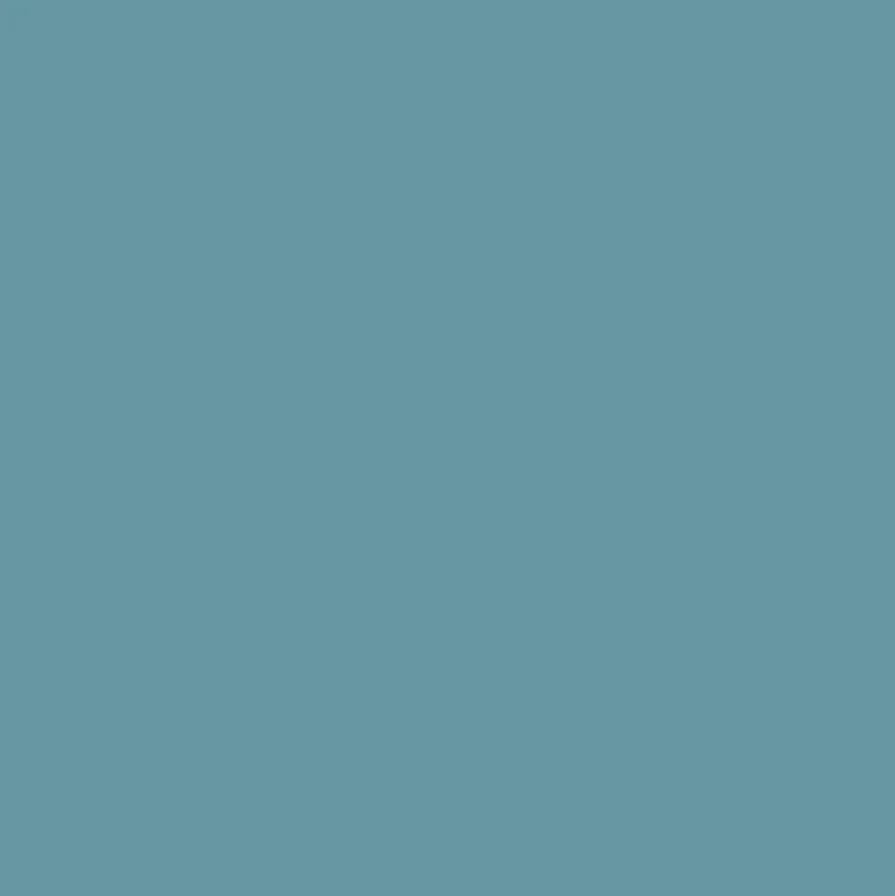 Peinture Murs, Boiseries, Radiateurs RIPOLIN OPur Satin velouté Bleu alor NP