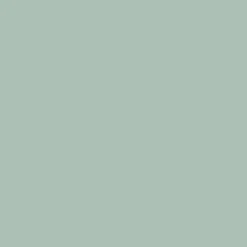 Peinture Murs, Boiseries, Radiateurs RIPOLIN OPur Satin velouté Vert palatino NP