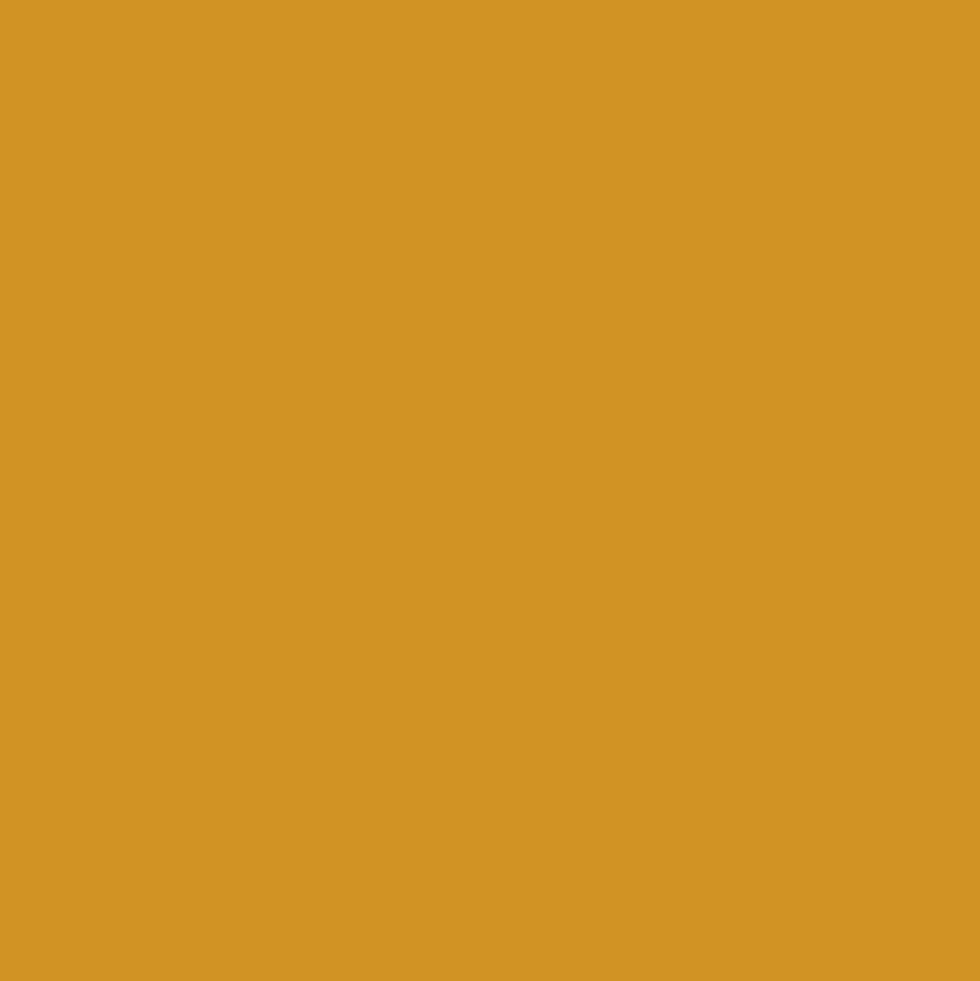 Peinture Murs, Boiseries, Radiateurs RIPOLIN OPur Satin velouté Jaune ambré NP