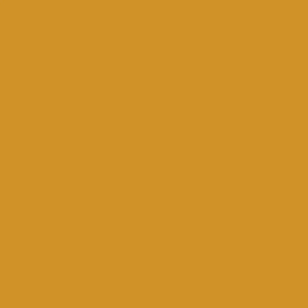 Peinture Murs, Boiseries, Radiateurs RIPOLIN OPur Satin Jaune ambré