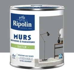 Peinture Murs, Boiseries, Radiateurs RIPOLIN Satin Gris Zinc