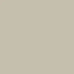 Peinture Murs, Boiseries, Radiateurs RIPOLIN Satin Beige kyanité