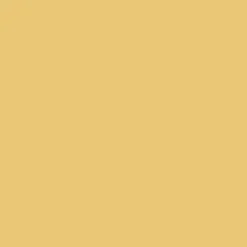 Peinture Murs, Boiseries, Radiateurs RIPOLIN Mat Jaune mimosa