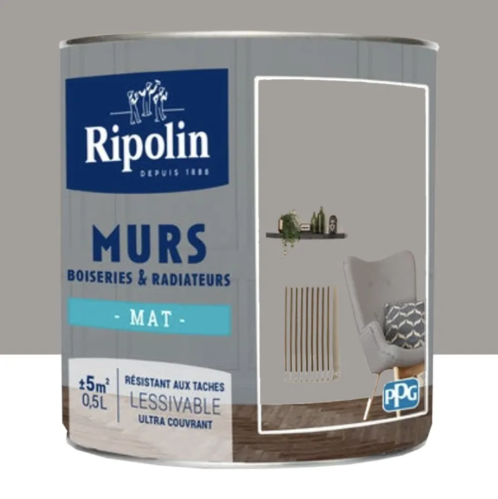 Peinture Murs, Boiseries, Radiateurs RIPOLIN Mat Gris urbain