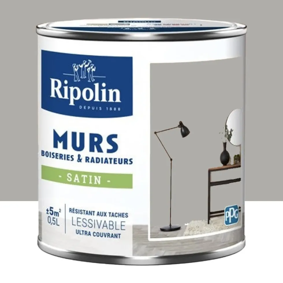 Peinture Murs, Boiseries, Radiateurs RIPOLIN Satin Gris Caire