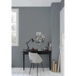 Peinture murs & plafonds V33 Coup d'éclat Gris silex