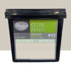 Peinture Placards & Meubles Théodore CÔTÉ RÉNO Satin Mocaccino