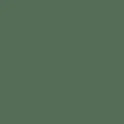 Peintures BÂTIR Multi Colors Mat Poudré Cèdre vert