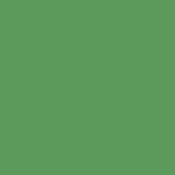 Peintures BÂTIR Multi Colors Mat Poudré Vert oasis