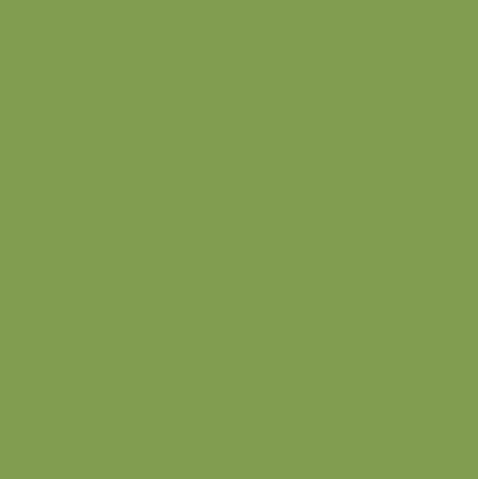 Peintures Multi Colors BÂTIR Satin Soyeux Vert Amazonie