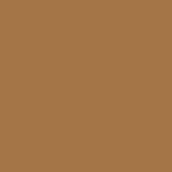 Peintures Multi Colors BÂTIR Satin Soyeux Cannelle