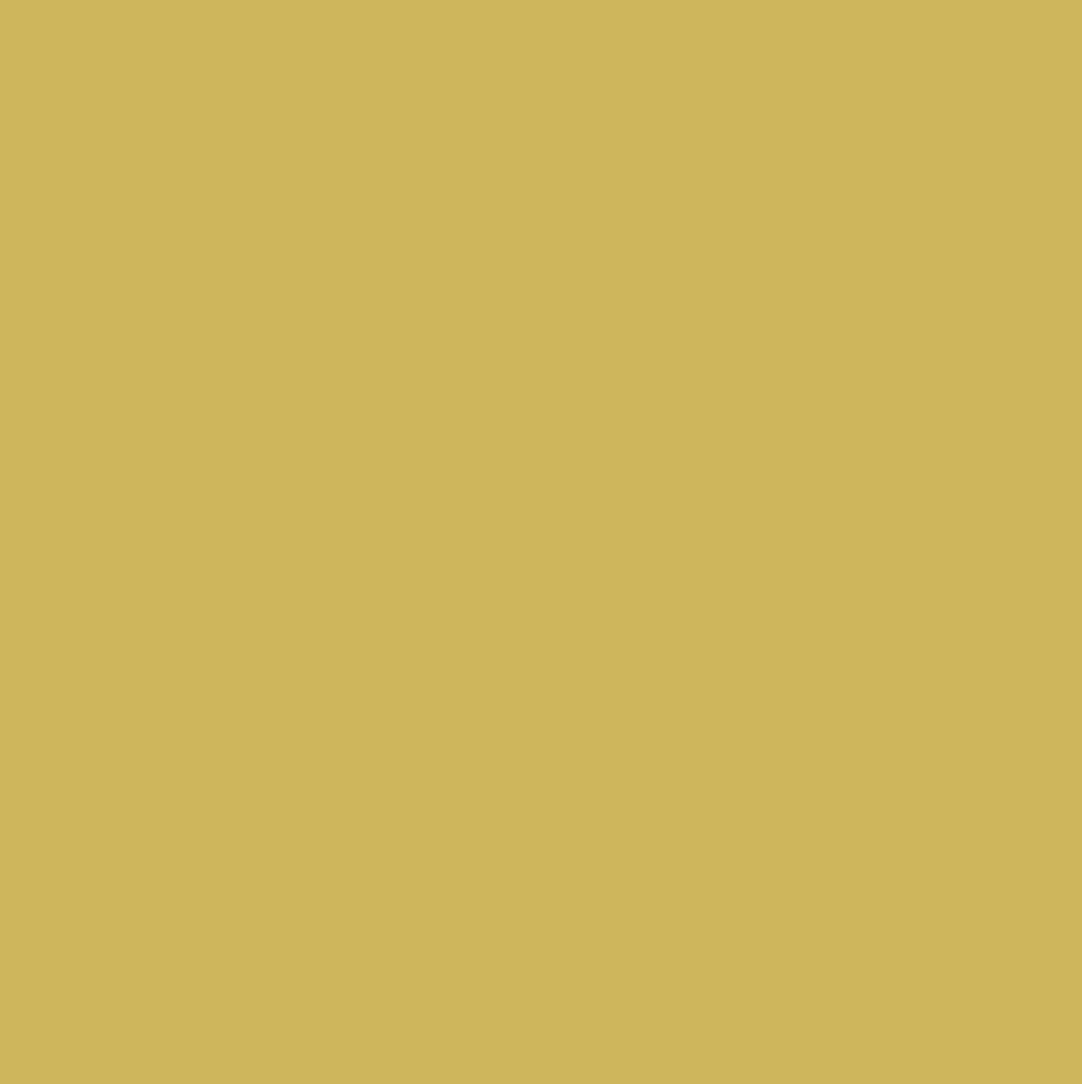 Peintures Multi Colors BÂTIR Vert Chartreuse Satin Soyeux