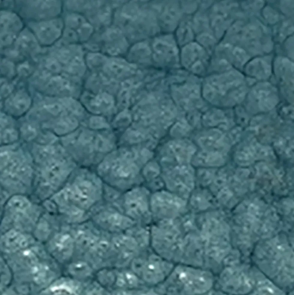 Peinture Spécial Fer BÂTIR Bleu M15