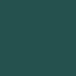Peinture Valentine Murs et boiseries DULUX VALENTINE Vert persan