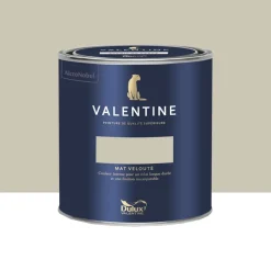 Peinture Valentine Murs et boiseries DULUX VALENTINE Murmure d'été
