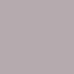 Peinture Valentine Murs et boiseries DULUX VALENTINE Essence de violette