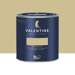 Peinture Valentine Murs et boiseries DULUX VALENTINE Rêve épicé