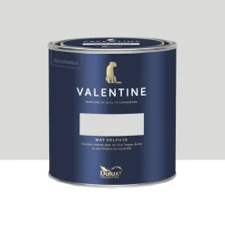 Peinture Valentine Murs et boiseries DULUX VALENTINE Blanc Frisson