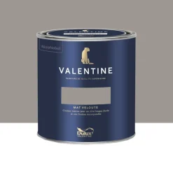 Peinture Valentine Murs et boiseries DULUX VALENTINE Gris chimère