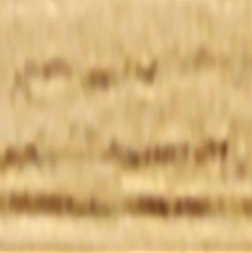 Primaire Fond dur Teinté CECIL PX302 Chêne blond