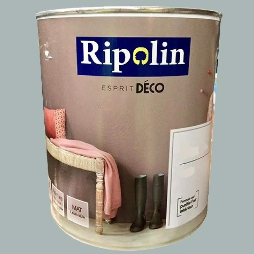 RIPOLIN Peinture Esprit Déco Gris roche Mat